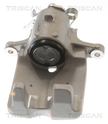 TRISCAN 8175 10226 Bremssattel