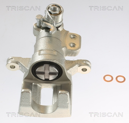 TRISCAN 8175 10227 Bremssattel