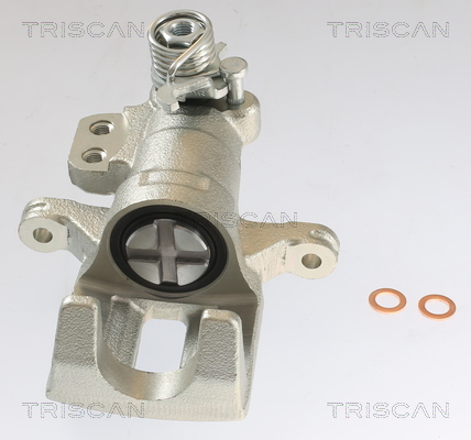 TRISCAN 8175 10228 Bremssattel