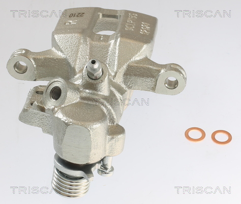 TRISCAN 8175 10228 Bremssattel
