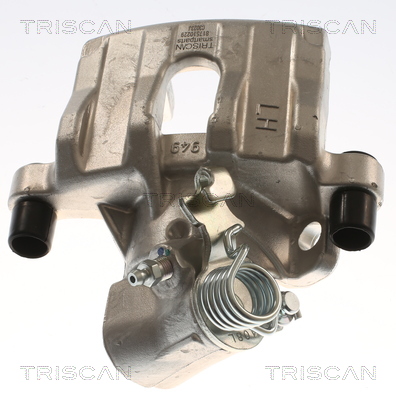 TRISCAN 8175 10229 Bremssattel