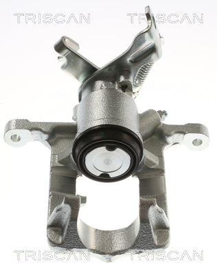 TRISCAN 8175 10231 Bremssattel