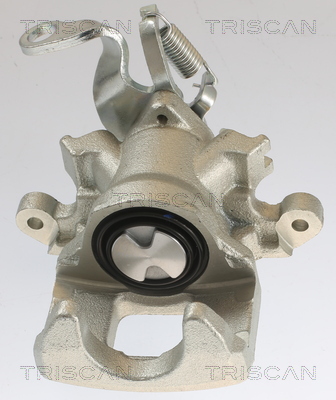 TRISCAN 8175 10235 Bremssattel