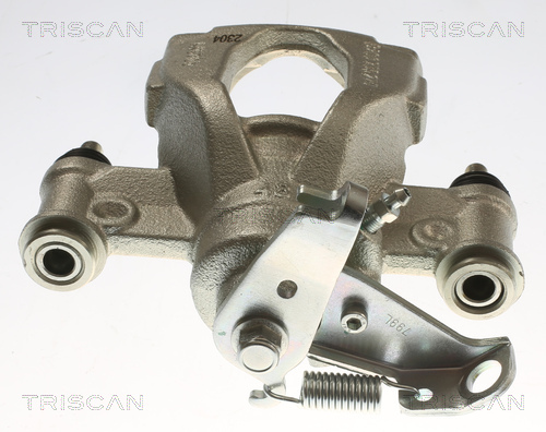 TRISCAN 8175 10237 Bremssattel