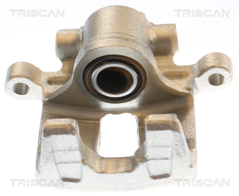 TRISCAN 8175 10243 Bremssattel