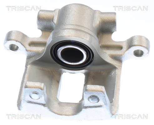 TRISCAN 8175 10245 Bremssattel