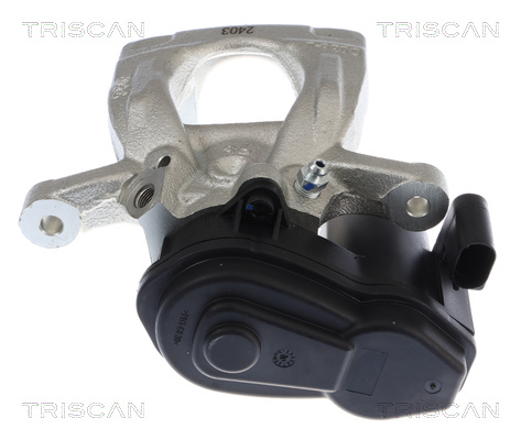 TRISCAN 8175 10247 Bremssattel