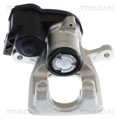 TRISCAN 8175 10248 Bremssattel