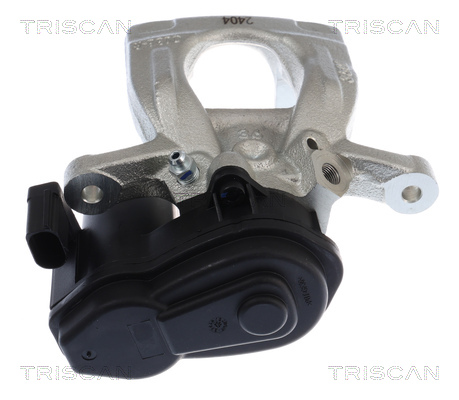 TRISCAN 8175 10248 Bremssattel