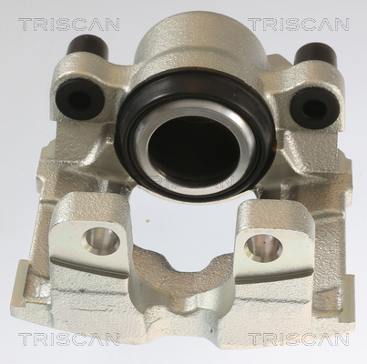 TRISCAN 8175 11105 Bremssattel