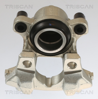 TRISCAN 8175 11110 Bremssattel