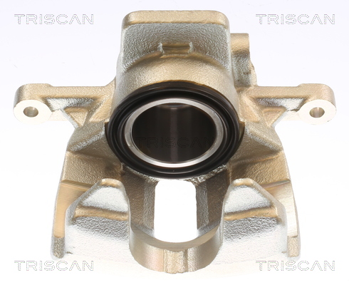 TRISCAN 8175 11112 Bremssattel