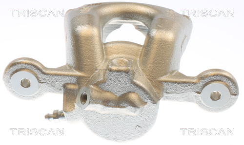 TRISCAN 8175 11118 Bremssattel