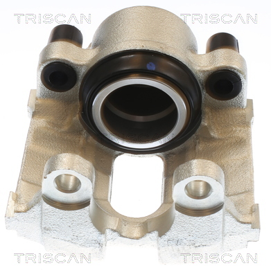 TRISCAN 8175 11120 Bremssattel