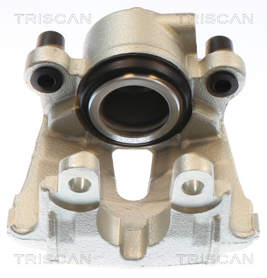 TRISCAN 8175 11125 Bremssattel