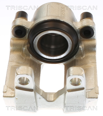 TRISCAN 8175 11130 Bremssattel