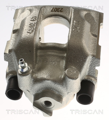 TRISCAN 8175 11230 Bremssattel