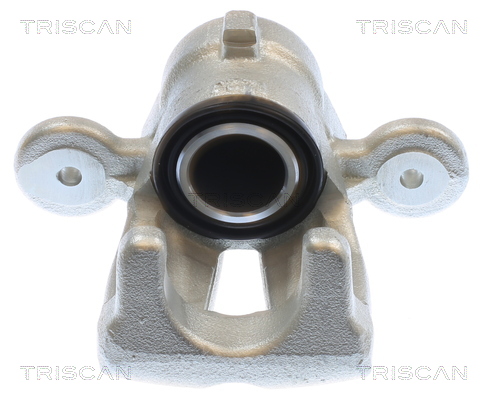 TRISCAN 8175 11231 Bremssattel