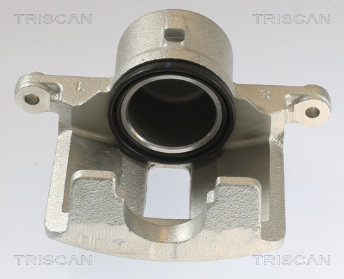 TRISCAN 8175 13101 Bremssattel