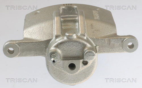 TRISCAN 8175 13101 Bremssattel