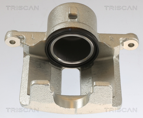 TRISCAN 8175 13102 Bremssattel