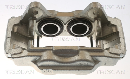 TRISCAN 8175 13106 Bremssattel