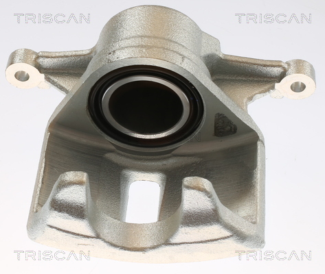 TRISCAN 8175 13110 Bremssattel