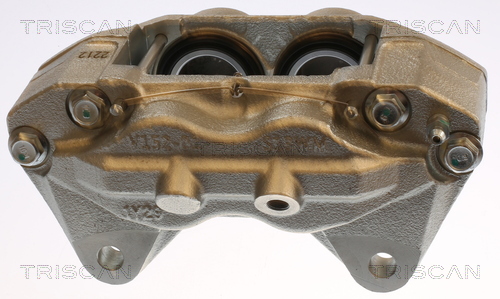 TRISCAN 8175 13116 Bremssattel