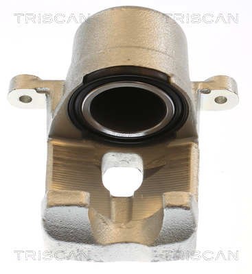 TRISCAN 8175 13119 Bremssattel