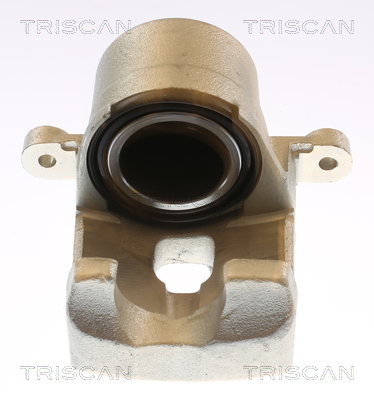 TRISCAN 8175 13120 Bremssattel