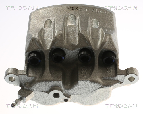 TRISCAN 8175 13124 Bremssattel