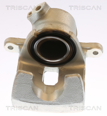 TRISCAN 8175 13125 Bremssattel