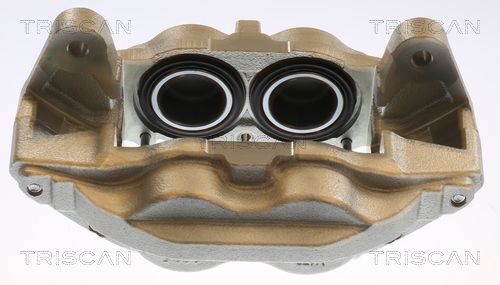 TRISCAN 8175 13129 Bremssattel