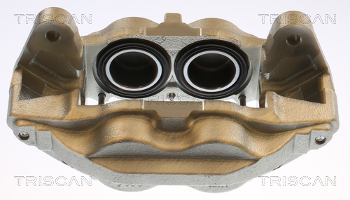 TRISCAN 8175 13130 Bremssattel