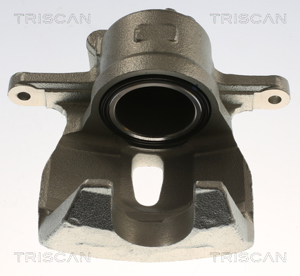 TRISCAN 8175 13137 Bremssattel