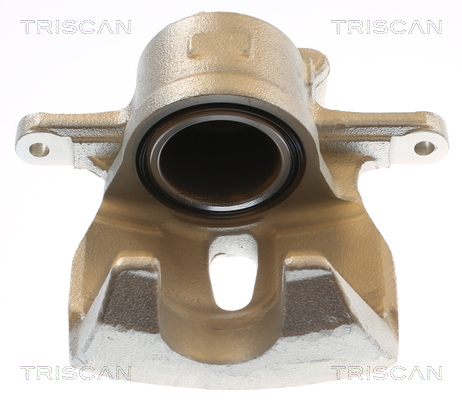 TRISCAN 8175 13138 Bremssattel