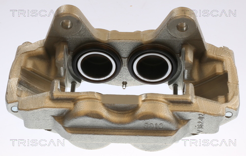 TRISCAN 8175 13139 Bremssattel