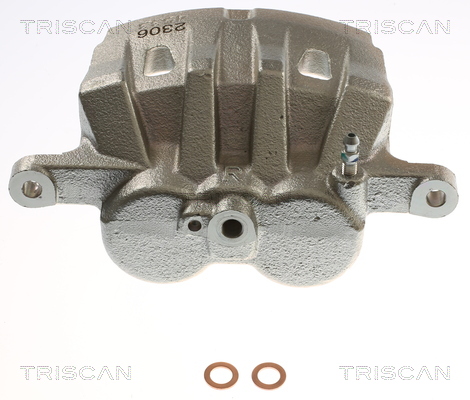 TRISCAN 8175 13142 Bremssattel