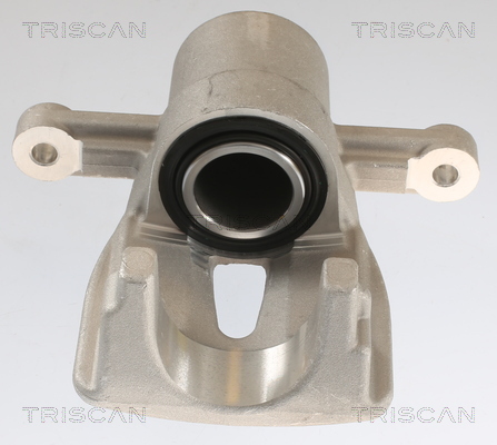TRISCAN 8175 13206 Bremssattel