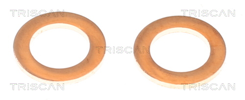 TRISCAN 8175 13207 Bremssattel