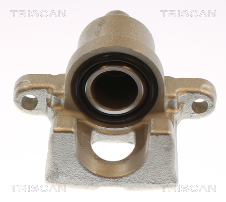 TRISCAN 8175 13228 Bremssattel