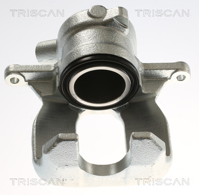 TRISCAN 8175 13238 Bremssattel