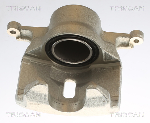 TRISCAN 8175 14101 Bremssattel