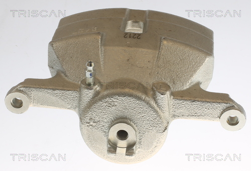 TRISCAN 8175 14101 Bremssattel