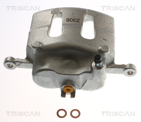 TRISCAN 8175 14105 Bremssattel