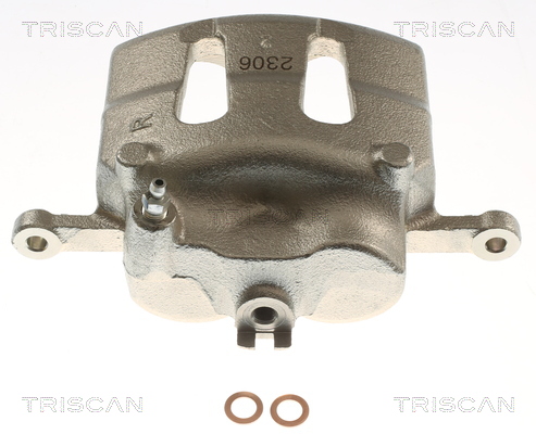 TRISCAN 8175 14106 Bremssattel