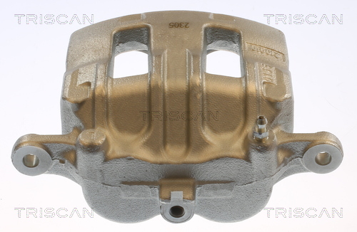 TRISCAN 8175 14111 Bremssattel