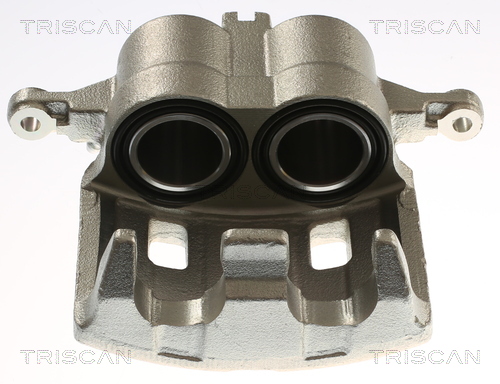 TRISCAN 8175 14113 Bremssattel