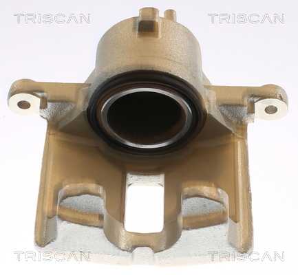 TRISCAN 8175 14117 Bremssattel