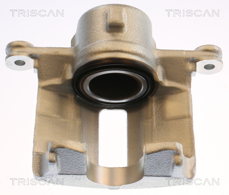 TRISCAN 8175 14119 Bremssattel